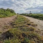 30 Person In Nordborg-by Traum *