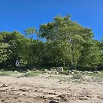 30 Person In Nordborg-by Traum