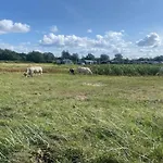 度假居 30 Person In Nordborg-by Traum *