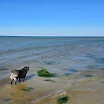 度假居 30 Person In Nordborg-by Traum *