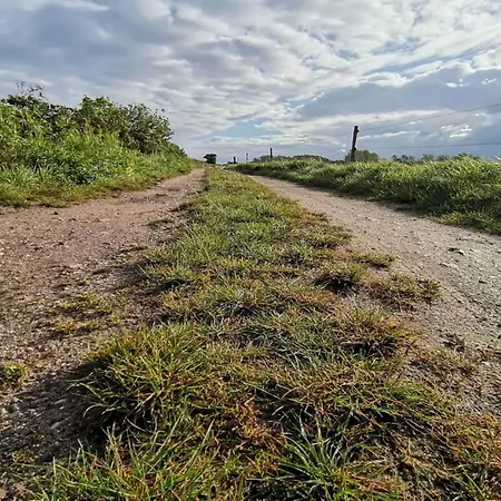 30 Person In Nordborg-by Traum *