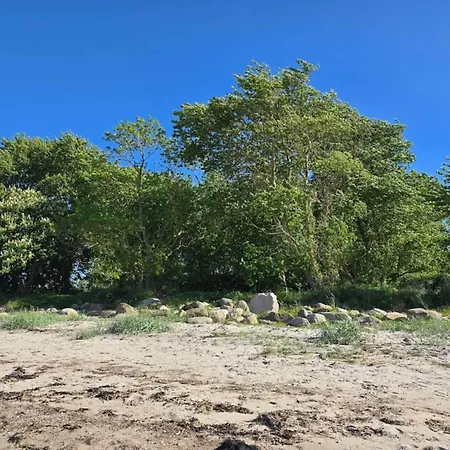 30 Person In Nordborg-by Traum