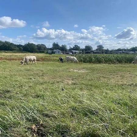 Prázdninový dům 30 Person In Nordborg-by Traum *