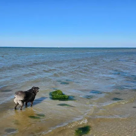 Prázdninový dům 30 Person In Nordborg-by Traum *