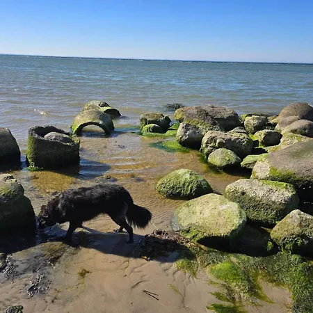 30 Person In Nordborg-by Traum Prázdninový dům Nordborg